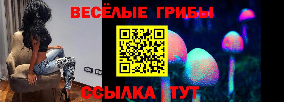 Псилоцибиновые грибы Psilocybe Ногинск