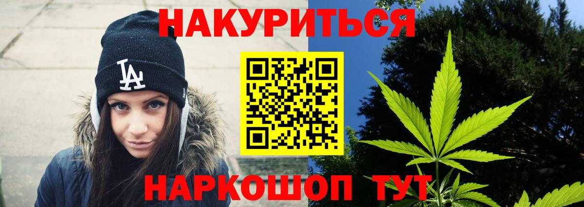 Канабис семена  Бошки Шишки SATIVA & INDICA  Конопля планчик  Ногинск  Вход с VPN 